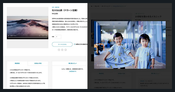 Common TCD WordPressテーマ