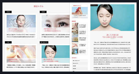 NOEL TCD WordPressテーマ