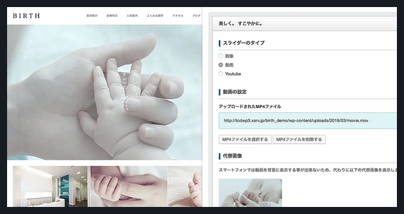 BIRTH TCD WordPressテーマ