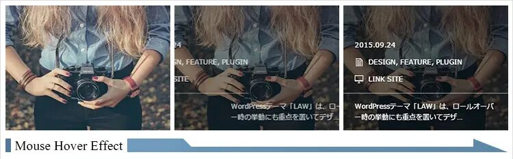 VIEW TCD WordPressテーマ